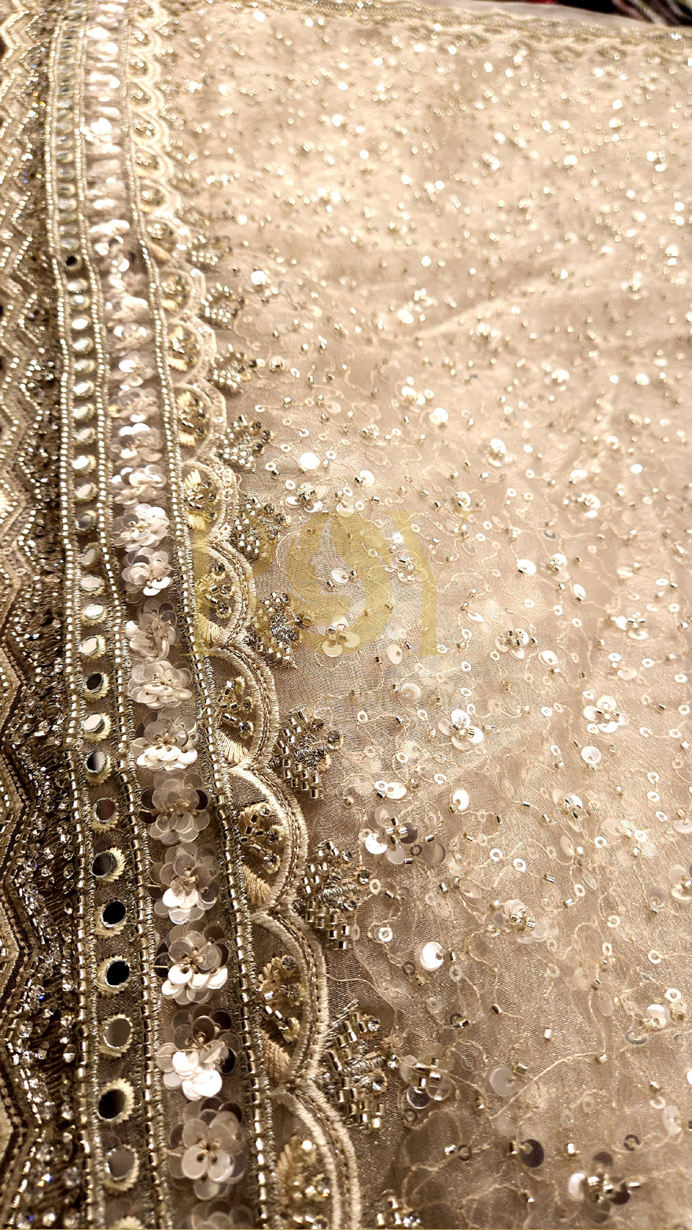 Champagne Organza Party Wear Saree
