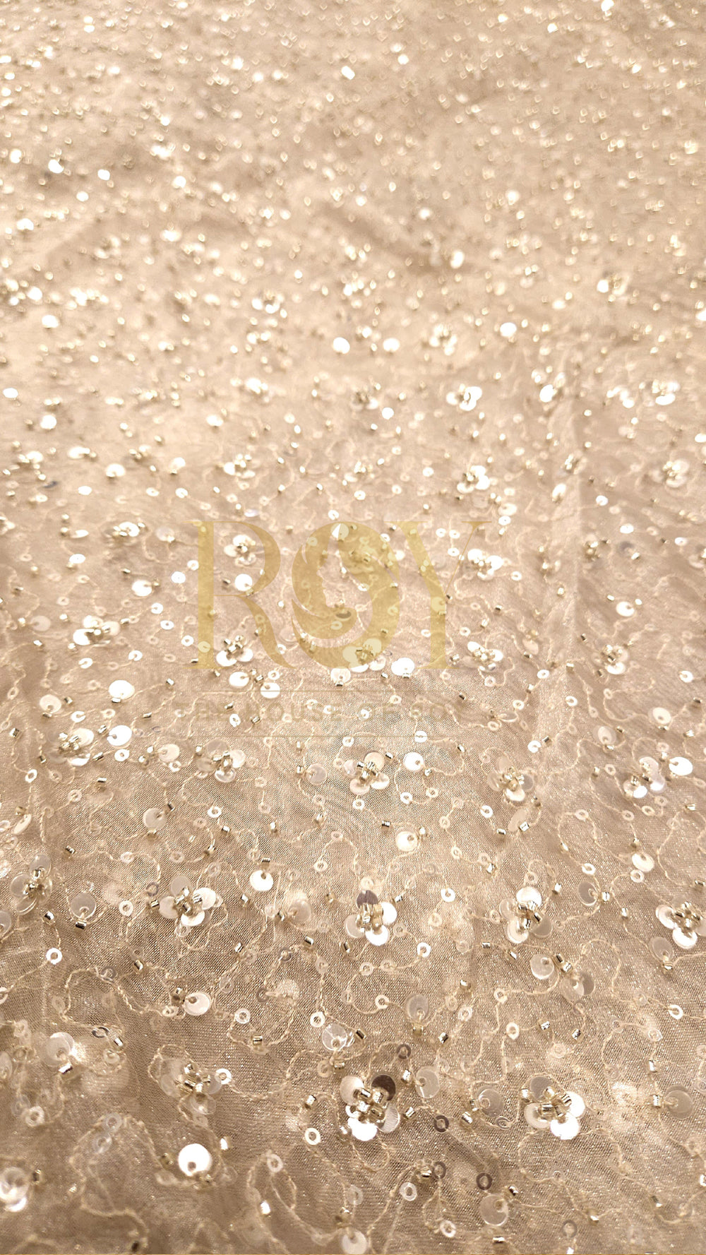 Champagne Organza Party Wear Saree