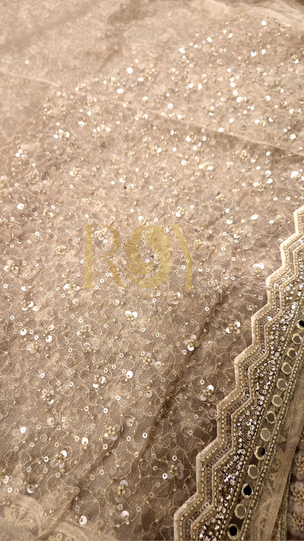 Champagne Organza Party Wear Saree