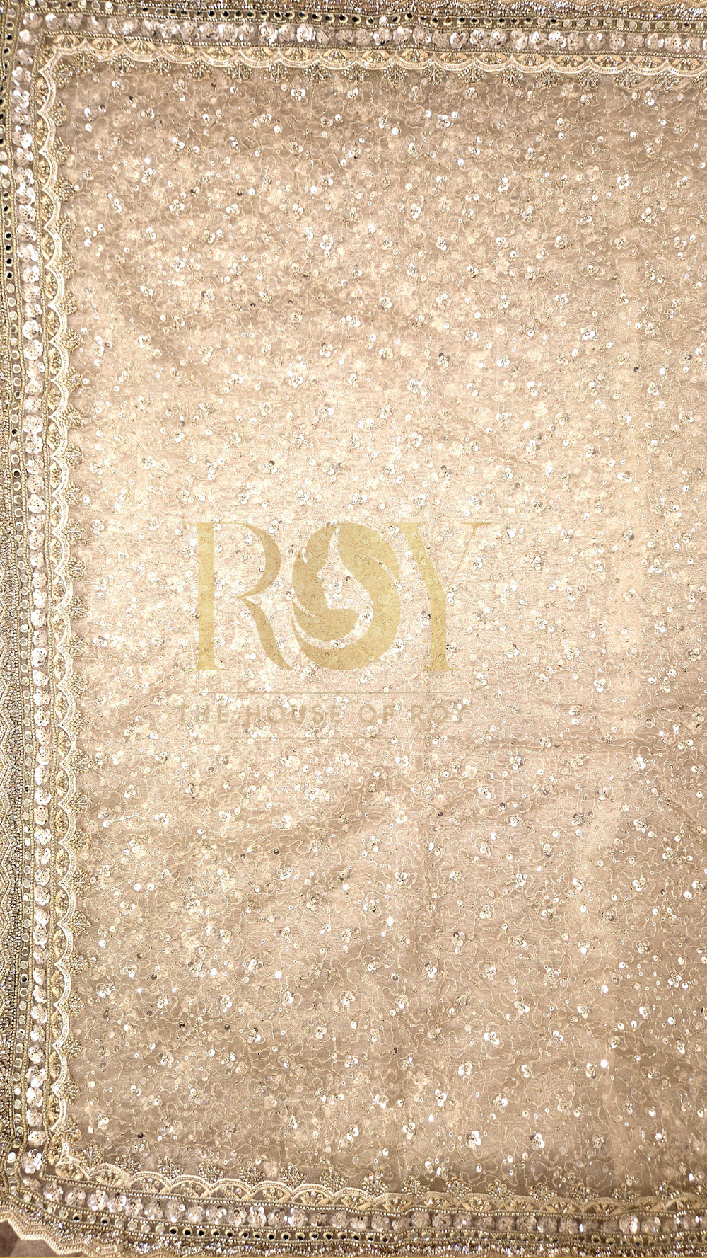Champagne Organza Party Wear Saree