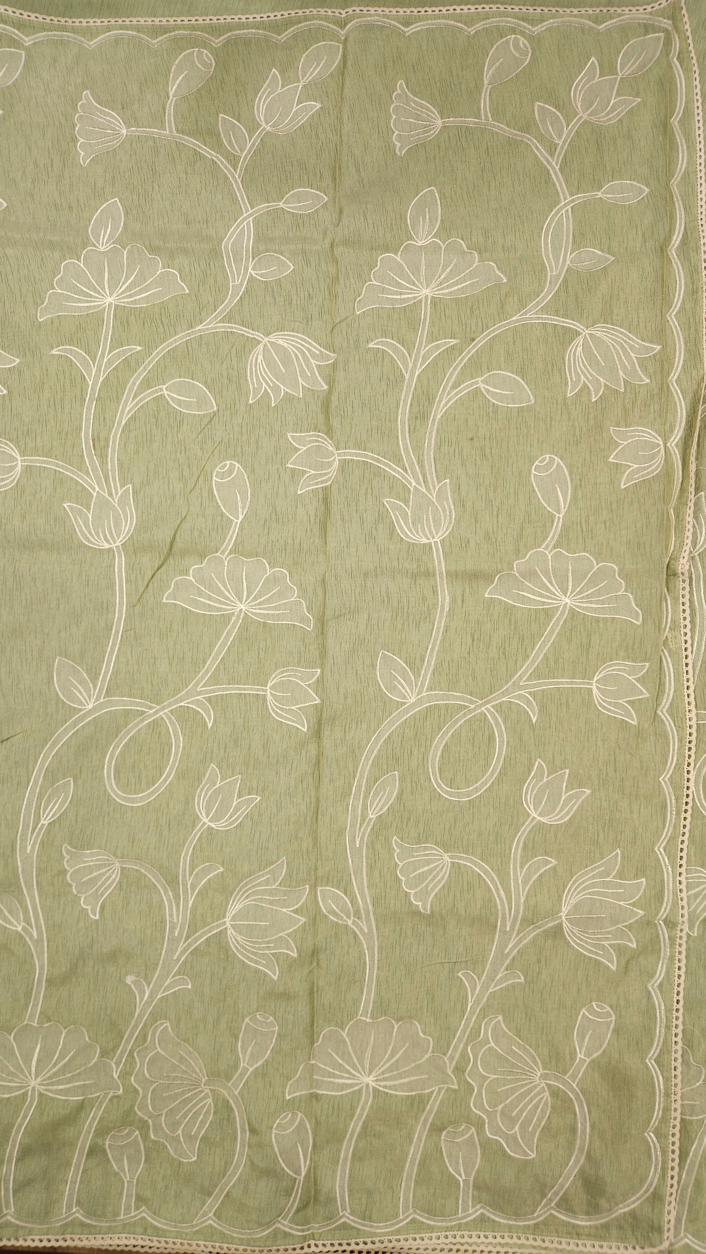 Pastel Green Appliqué Saree