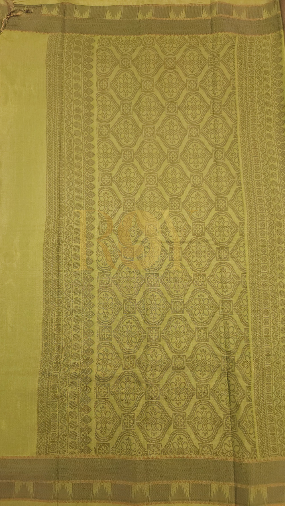 Lime Green Soft Silk Cotton Saree