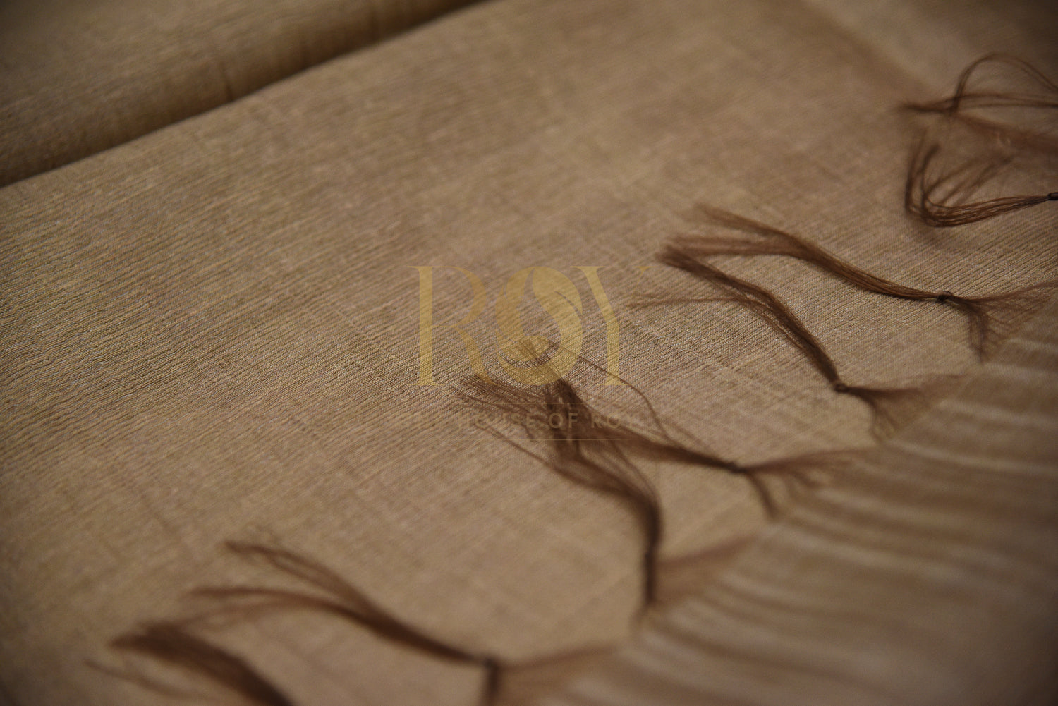 Tussar Silk Beige Saree